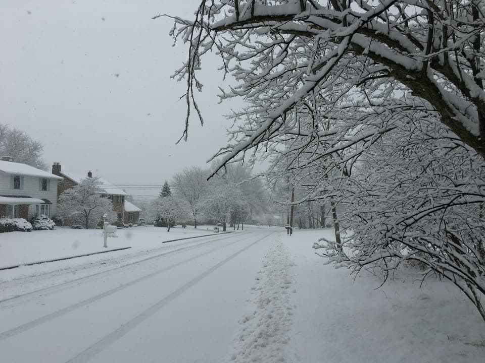 A snow-covered residential street lined with trees and houses